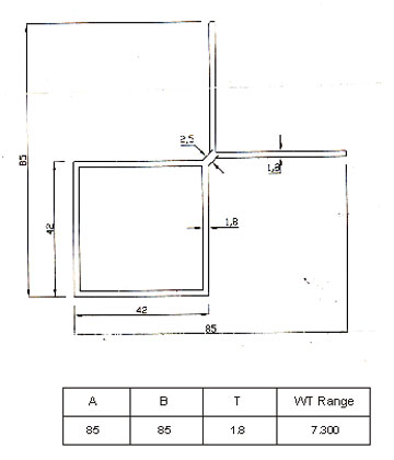 KITE SECTION